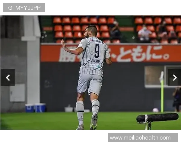 山口雷诺法与黄冈黄蜂的精彩对决分析与战术探讨 山口雷诺法与黄冈黄蜂的精彩对决分析与战术探讨