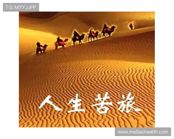 深度对话:王娜如何在排球世界中追逐梦想与挑战人生 深度对话:王娜如何在排球世界中追逐梦想与挑战人生