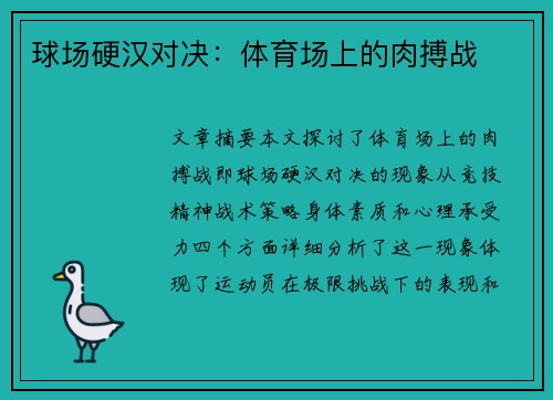 球场硬汉对决：体育场上的肉搏战