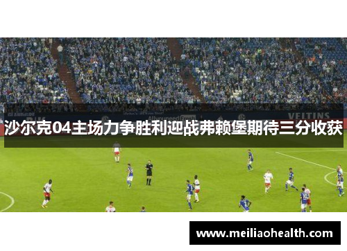 沙尔克04主场力争胜利迎战弗赖堡期待三分收获