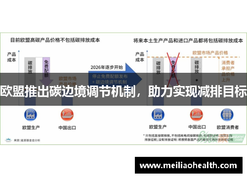 欧盟推出碳边境调节机制，助力实现减排目标